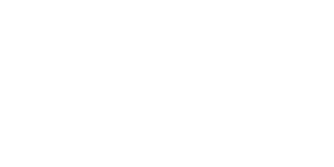 Comment nous avons transformé l'innovation d'Amazon en matière d'emballage en un succès mondial avec « Sorry, Cats »