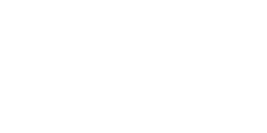 Leroy Merlin
