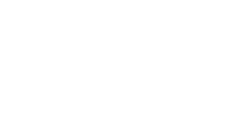 Meta