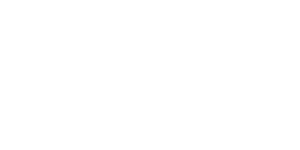 Brew Group (Brew Interactive, Lite Brew)