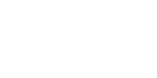 Brew Group (Brew Interactive, Lite Brew)